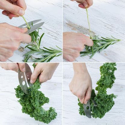 Raw Rutes Kale Razor - Kale and Herb Stripping Tool - Made in the USA from Stainless Steel - Perfect for removing stems from Herbs & Kale