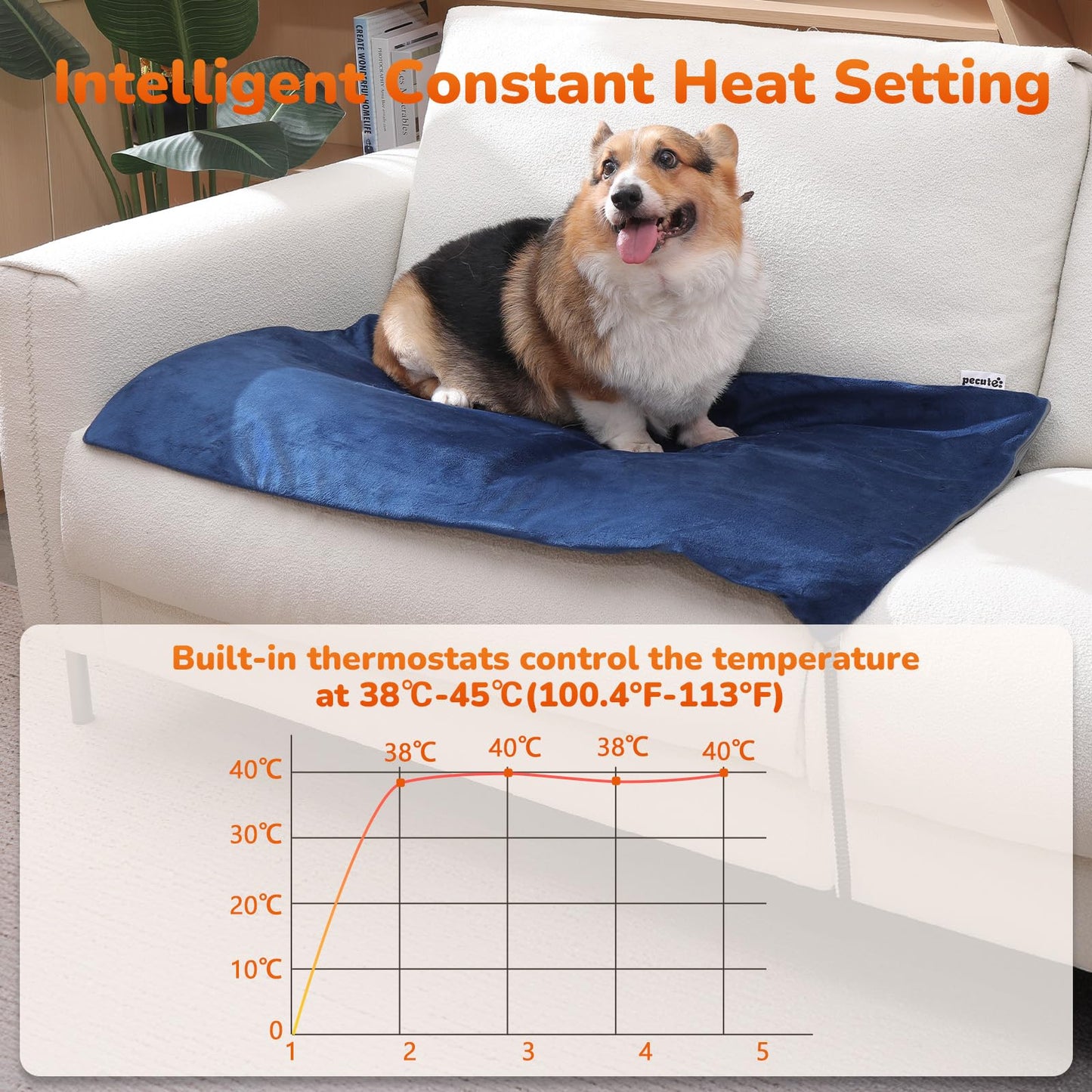 Pecute Cat Heating Pad Indoor, 6 Adjustable Temperature with Timer, Dog Heating Pad with Dual-Resistant Cable, Waterproof Layer, Heated Cat Bed Mat Blanket, Electric Pet Heated Pads for Cats Dogs
