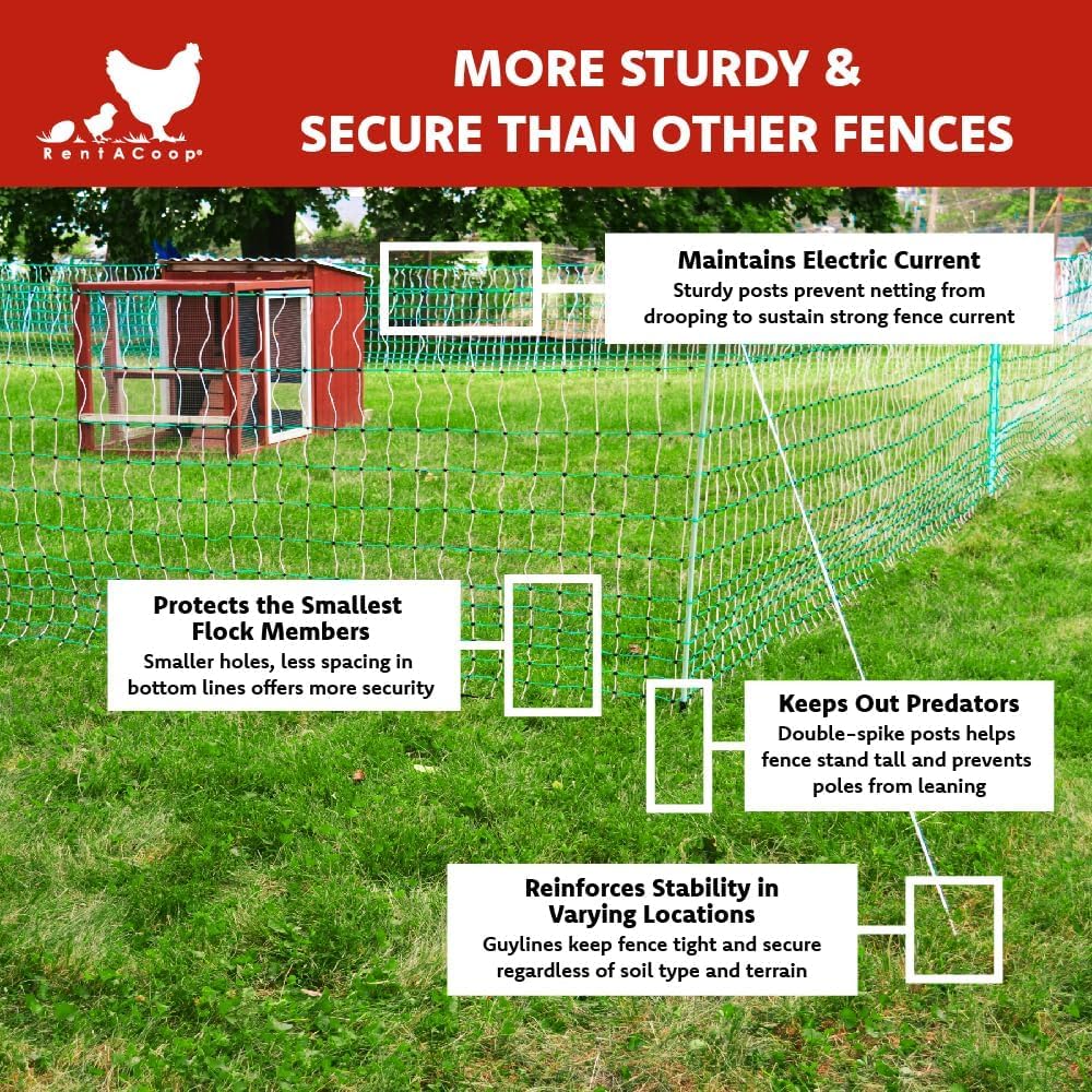 RentACoop Poultry Netting Electric Fence - Electric Poultry Enclosure for Chickens, Ducks, Turkeys - Suitable for 4 Week Old Chickens/Older and Adult Poultry - Energizer Not Included - 168' L x 42" H