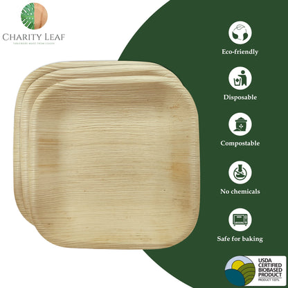 Charity Leaf Disposable Palm Leaf 6" Square Plates (1000 pieces) Bamboo Like Serving Platters, Disposable Boards, Eco-Friendly Dinnerware For Weddings, Catering, Event
