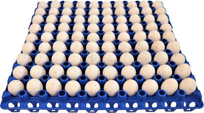 Rite Farm Products 12 Pack 90 Plastic Egg Trays - Egg Capacity
