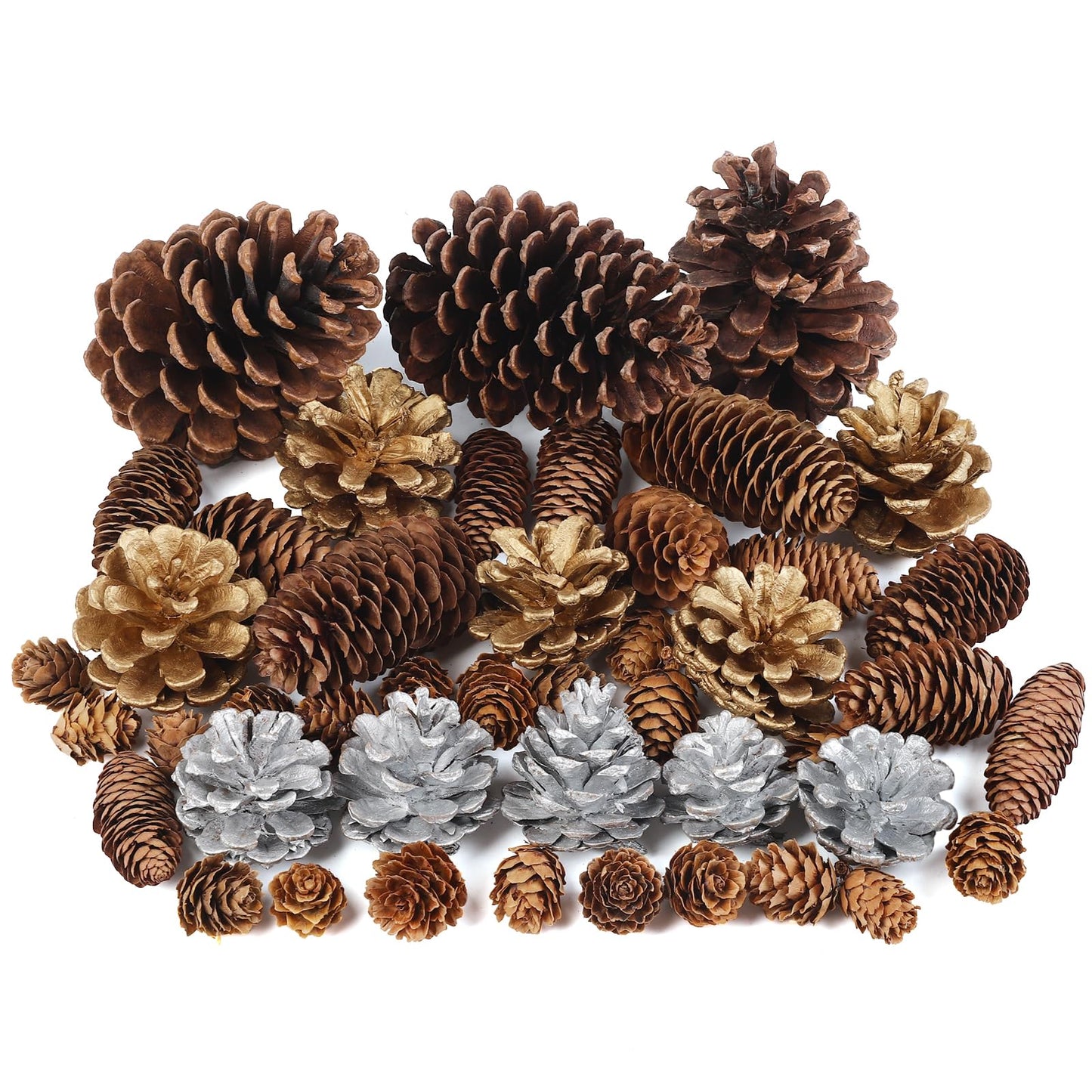 TaoQ C 45 PCS Pine Cones Christmas Pine Cones Natural Large Mini Silver Gold Pinecones for Decorating Christmas Tree Winter Holidays Thanksgiving Table Fall Bowl Fillers Ornaments