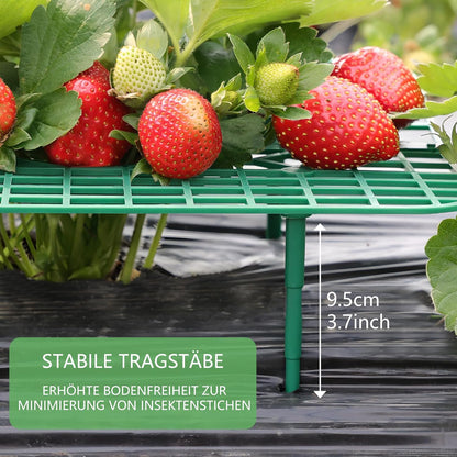 ANGTUO 10 Pack Square Strawberry Supports for Garden Strawberry Plant Support Strawberry Stand Holder Strawberry Racks