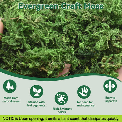 ZeeDix 8 oz Fake Green Moss for Crafts, Artificial Moss for Indoor Potted Plants, Decorative Moss for Table Centerpieces, DIY Projects, Fairy Garden, Wedding & Christmas Party Decor