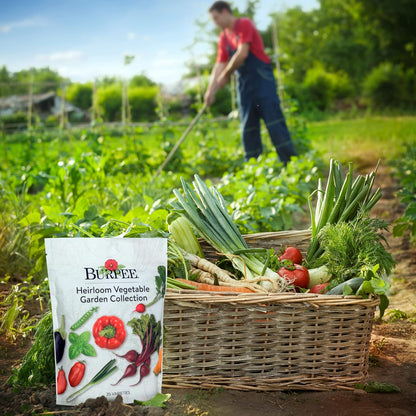Pack 35 30,000+ Burpee Heirloom Vegetable Seeds, Variety with Varieties of Plant Seeds, Garden Seeds - Mixed Non-GMO