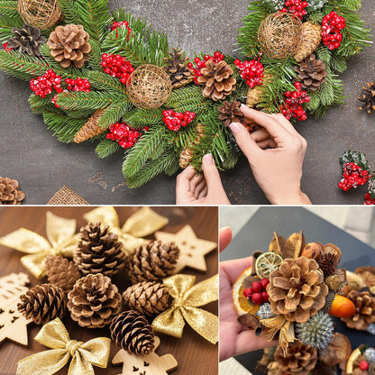 Wlicon 55 PCS Pine Cones Decorations Natural Pinecones, Large Medium & Mini Sizes Pinecones for Table Christmas Tree Crafts Gifts Thanksgiving Fall and Xmas Home Decor DIY Ornaments