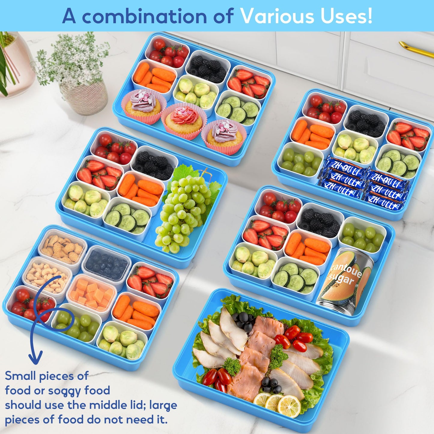 Snackle Box Container for Adults with 9 Compartment, Divided Serving Tray Snack Box Containers with Lid and Handle, Charcuterie Boxes Portable Snack Platter for Fruit Veggie Party Travel, Blue
