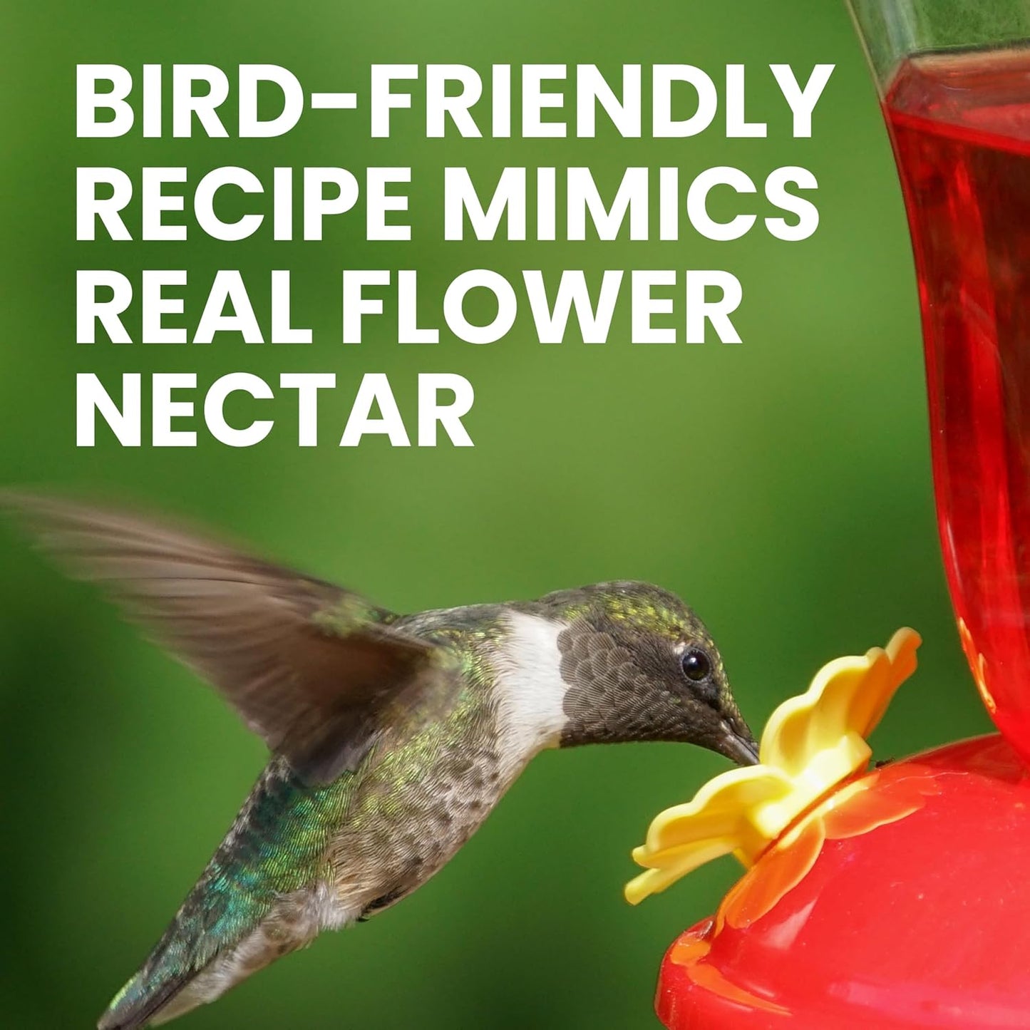 Perky-Pet Hummingbird Nectar Concentrate - 32 oz | Makes 96 FL OZ of Sweet Red Nectar