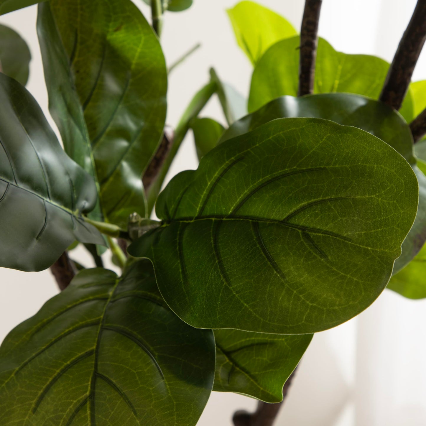 Kate and Laurel Fidmont Faux Fiddle Fig Tree with Claudel Scalloped Planter Pot, 6 FT, White, Potted Artificial Tree Indoor with Realistic Foliage and Added Moss, Fake Plant for Living Room Decor