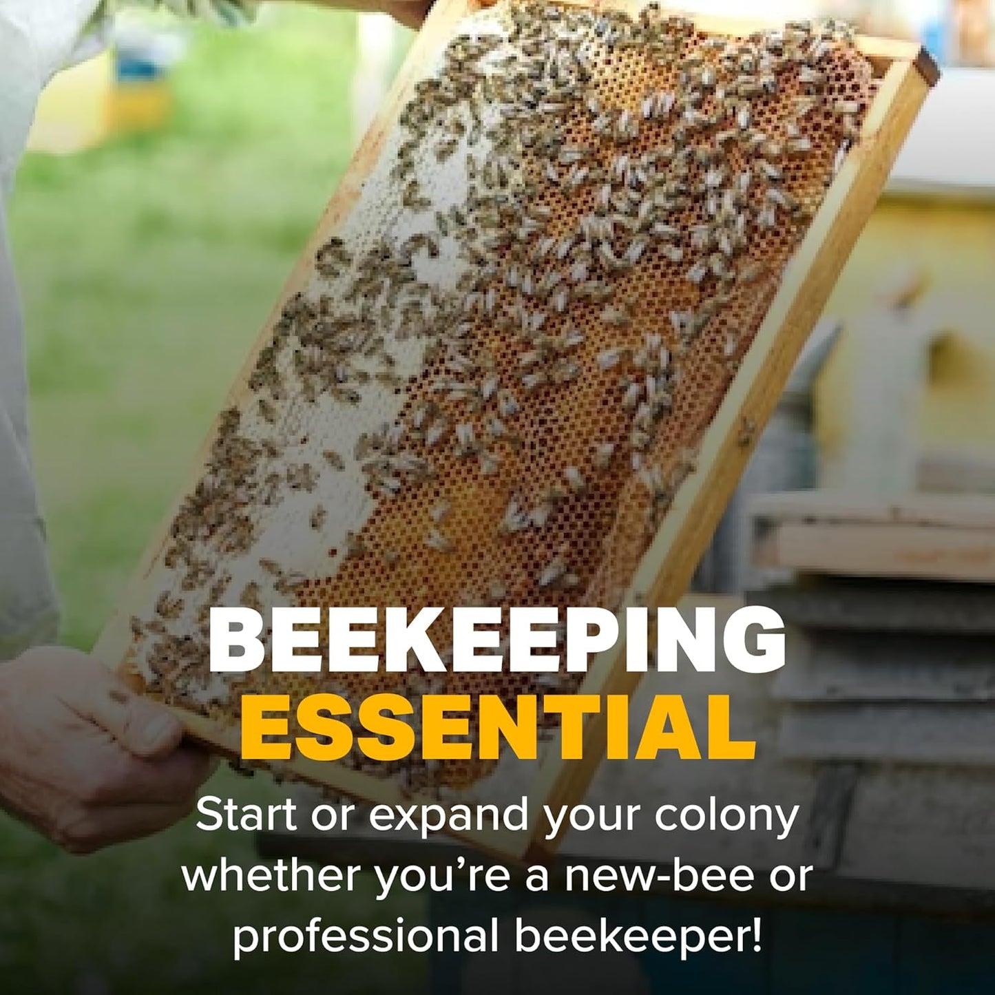 24-Pack, 8 oz Mann Lake Honey Squeeze Bottle, Easy Honey Dispensing, Durable, White Flip-Top Lids Included, Effortless