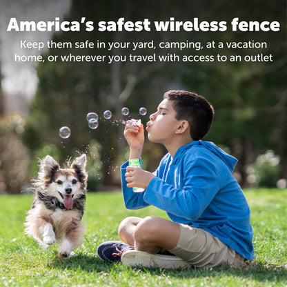 PetSafe Wireless Pet Containment System Receiver Collar for Dogs, Wireless Dog Collar Waterproof Material, Fits Small, Medium, Large Pets, Electric Fence Receiver Collars (Red and Black)