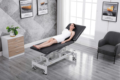 homeLyD Physical Therapy Table Hi-Lo Adjustable 2 Section PT Treatment Table,Ultra Comfortable Foot Control Facial Salon SPA Bed for Massage and Acupuncture (Blue)
