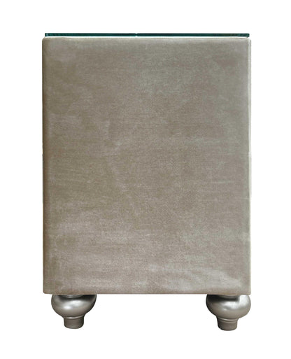 Acme Lucienne 2-Drawer Velvet Upholstered and Wood Nightstand in Beige
