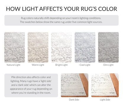 SAFAVIEH Madison Collection Area Rug - 10' x 14', Silver & Ivory, Snowflake Medallion Distressed Design, Non-Shedding & Easy Care, Ideal for High Traffic Areas in Living Room, Bedroom (MAD603G)