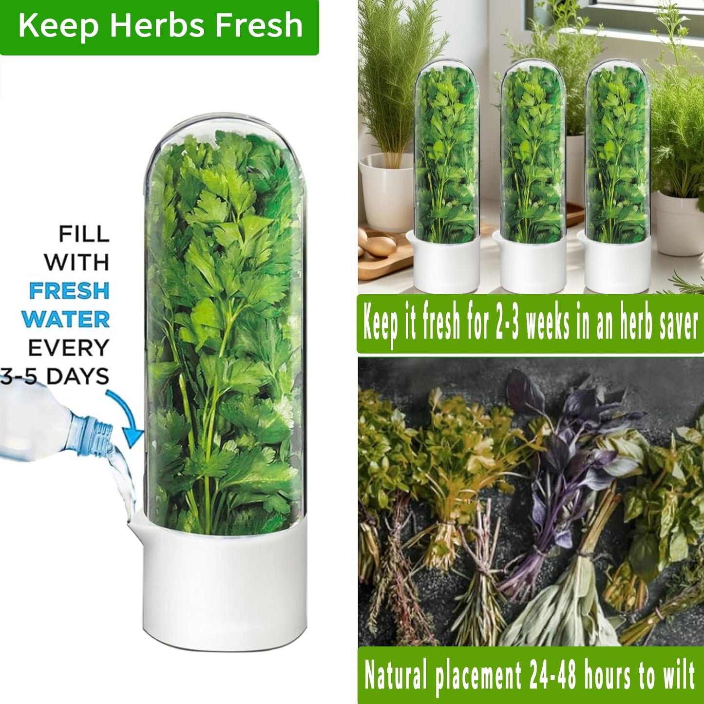 Minkeytal Herb Saver for Refrigerator - Herb Keeper & Cilantro Container for Fridge | Vegetable Preservation Storage Container for Cilantro, Basil, Asparagus | Extends Freshness Up to 2-3 Weeks