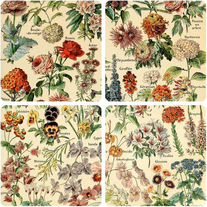 Meishe Art Vintage Poster Print - Flower Floral Botanical Collections Garden Flowers Identification Reference Chart