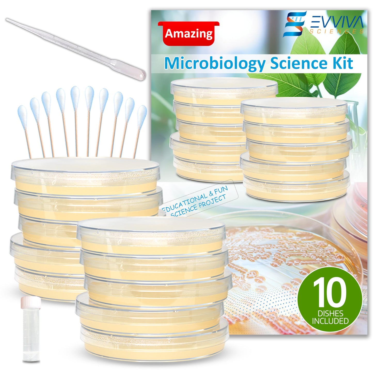 Evviva Sciences Microbiology Science Project Kit, Pre-Poured Agar Plates for Students, Agar Petri Dishes to Learn Microbiology, with Educational Experiment eBook