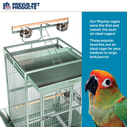 Prevue Pet Products Wrought Iron Select Bird Cage - Large Steel Cage with Rolling Stand, Seed Guards, and Playtop, Durable Design, Ideal for Conures and Medium Birds - Sage Green