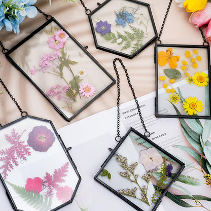Bucherry 5 Pcs Glass Frame for DIY Pressed Flowers Art Brass Hanging Photo Picture Frame with Chain and 6 Styles Pressed Flowers Collage Glass Craft Frames for Wall Decor Display Gallery (Black)