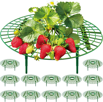 12 Pack (green-12 pack) Strawberry Supports, strawberry holder plants live for planting,Strawberry Growing