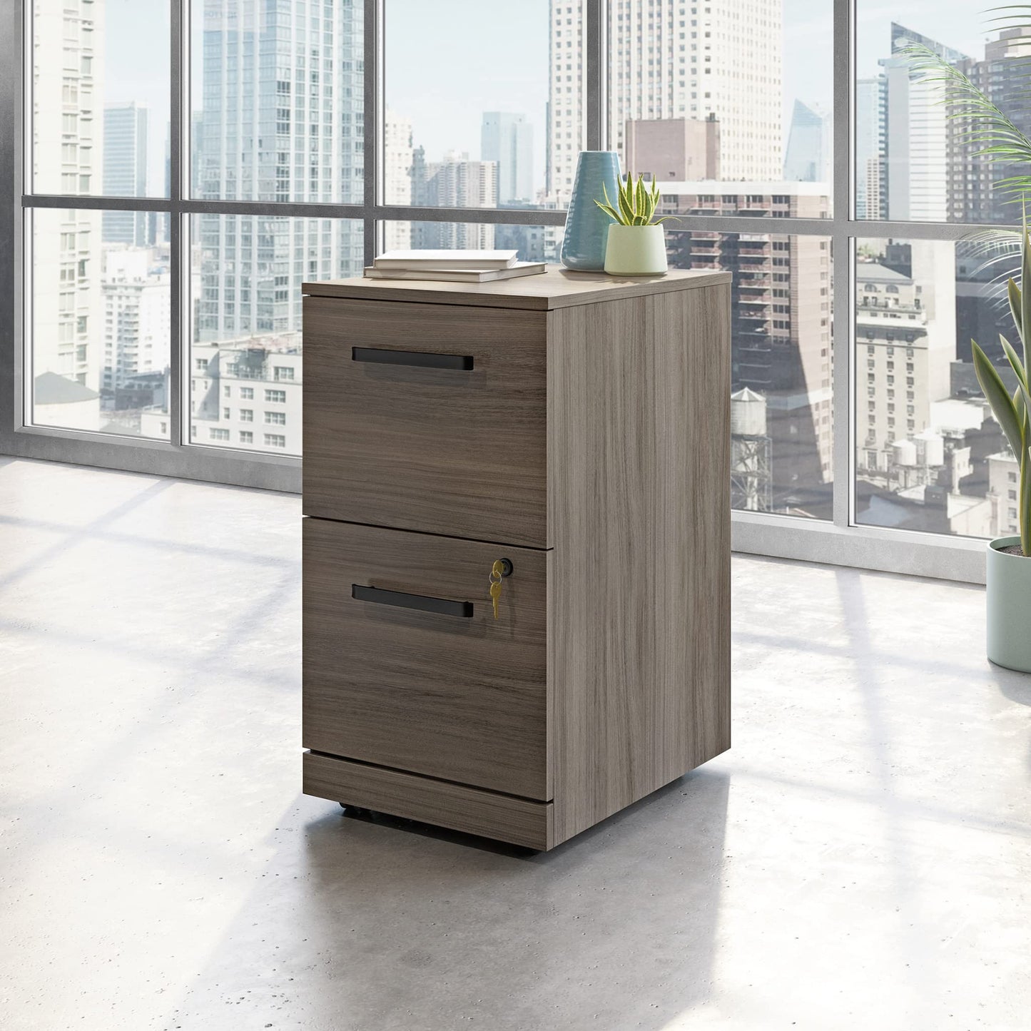 Sauder Affirm 2 Drawer Mobile File, Hudson Elm Finish