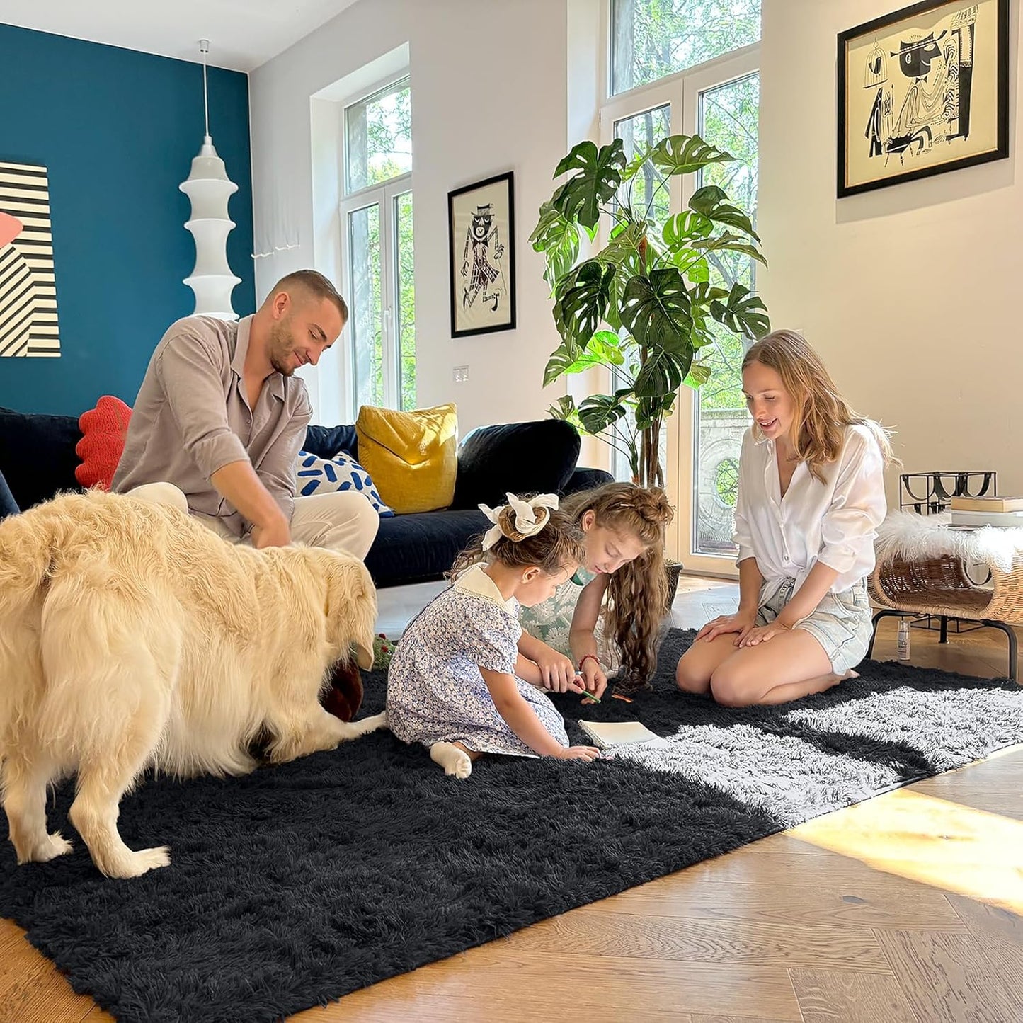 OLANLY Large Area Rug - Soft Fluffy Shaggy Carpet for Living Room & Bedroom | 6x9 ft, Black