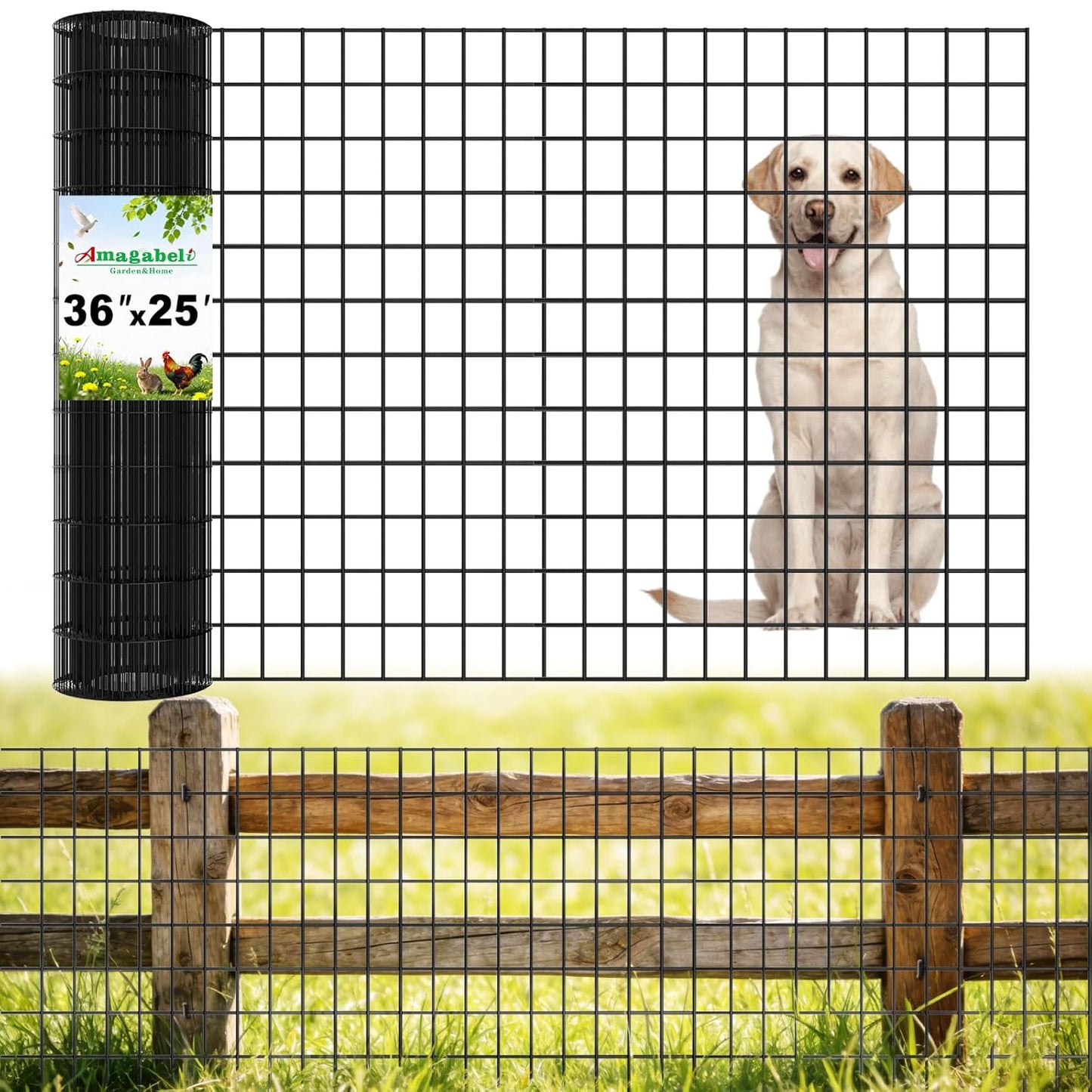 2 inch 3 inch 36inch 25ft 16 Amagabeli Black Coated Welded Wire Fence x x Gauge Garden Fence Chicken Wire Fencing Roll