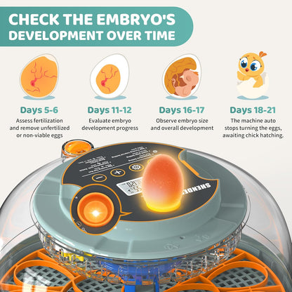 18~36 Egg Incubators for Hatching Eggs, Egg Incubator with Automatic Egg Turning and Humidity Control and Temperature