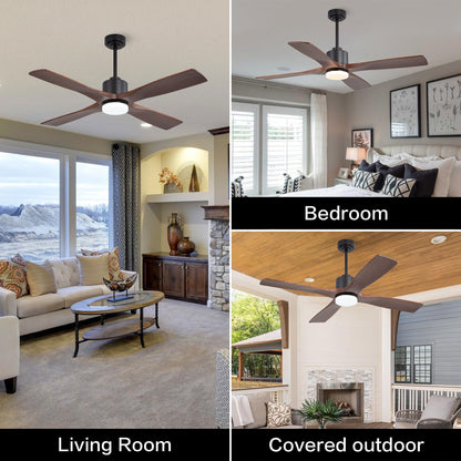 WINGBO 54 Inch DC Ceiling Fan with Lights and Remote Control, 4 Carved Solid Wood Blades, 6-Speed Noiseless Reversible DC Motor, Modern Ceiling Fan in Black Finish with Walnut Blades