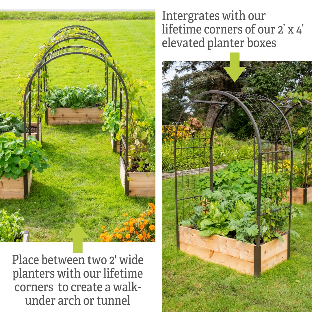 Gardener’s Supply Company Arch Trellis | Garden Arbor fits 2' x 4' Elevated Planter Boxes for Climbing Plants, Vegetables and Flowers | Decorative Outdoor Gardening Landscape