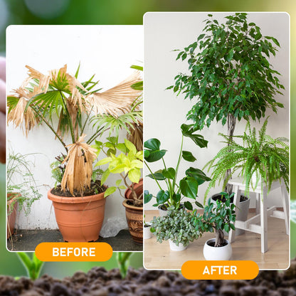 Skiennix Organic Soil Activators - 2Pcs Plant Fertilizers for Healthy Garden Beds | 120G Each