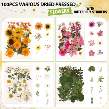 Solsew 160 Pcs Dried Pressed Flowers for Resin Set Natural Pressed Flowers with Butterfly Stickers for Crafts DIY Jewelry Floral Decors Making Nail Art(Wildflower,Light Yellow)