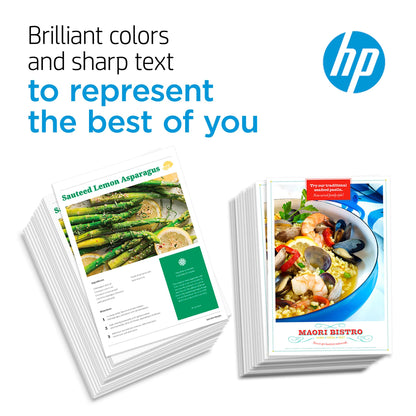 HP 64 Black Ink Cartridge for HP Printers | Works with Printer Series: ENVY Inspire 7950e; ENVY Photo 6200, 7100, 7800; Tango | Eligible for Instant Ink | N9J90AN