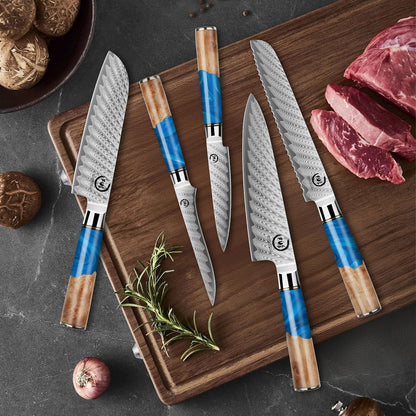 Fukep 5 Piece Damascus Knife Set, Professional Japanese Knife Set with Japanese VG 10 Steel Core, Blue Resin Handle, Includes Chef, Santoku, Bread, Boning & Paring Damascus Knives in Gift Box