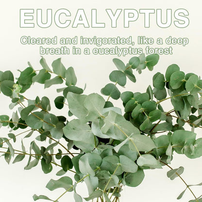 15 Packs Eucalyptus Scented Sachets Bag for Drawers and Closets, Home Fragrance Sachet, Long-Lasting Hanging Closet Deodorizer Smell Goods for House