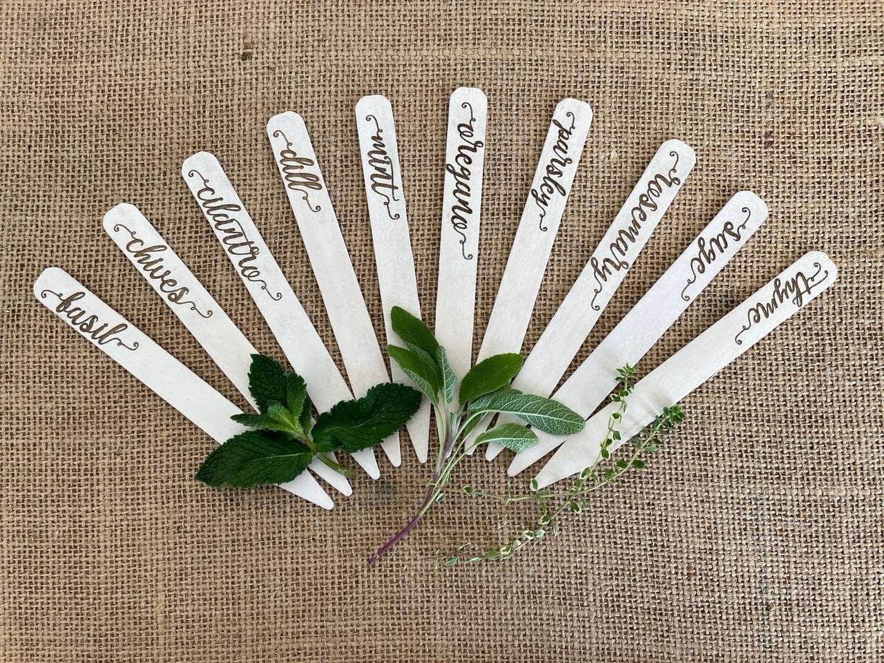 Gardinnovations 10-Pack Plantid Assorted Kitchen Herbs! Farmhouse Decor Outdoor Indoor Herb Garden Stakes, Plant