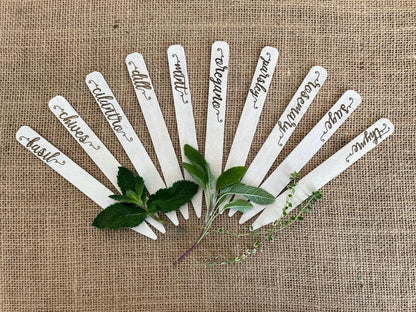 Gardinnovations 10-Pack Plantid Assorted Kitchen Herbs! Farmhouse Decor Outdoor Indoor Herb Garden Stakes, Plant