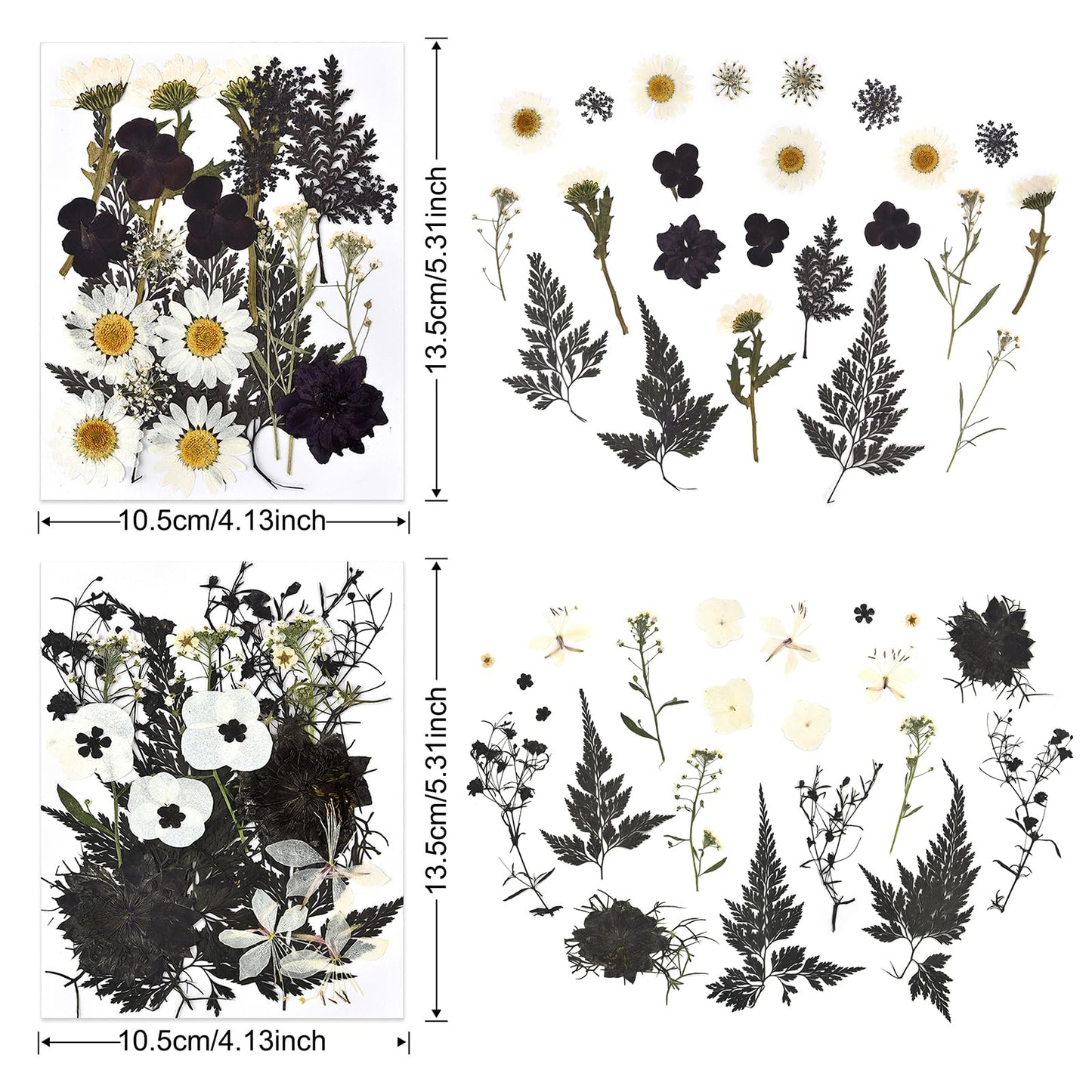 DALARAN Black Dried Pressed Flowers for Resin Molds, Bulk Real Natural Dry Floral for DIY Art Crafts, Epoxy Jewelry, Candle, Nails Decor, Phone Case,Soap Making