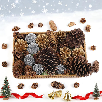 TaoQ C 45 PCS Pine Cones Christmas Pine Cones Natural Large Mini Silver Gold Pinecones for Decorating Christmas Tree Winter Holidays Thanksgiving Table Fall Bowl Fillers Ornaments