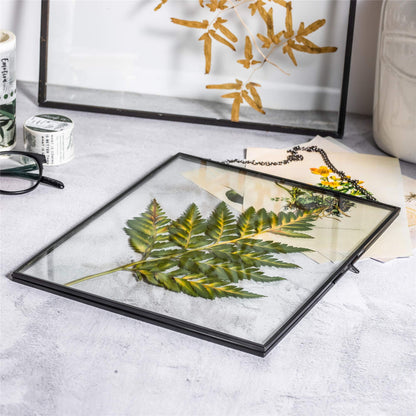 NCYP Hanging 8" x10" Black Glass Floating Frame for Pressed Dried Flower, Certificate, Photo, Picture - Modern Home Indoor Wall Vertical Decor, Plant Specimen Clip (Glass Frame Only)