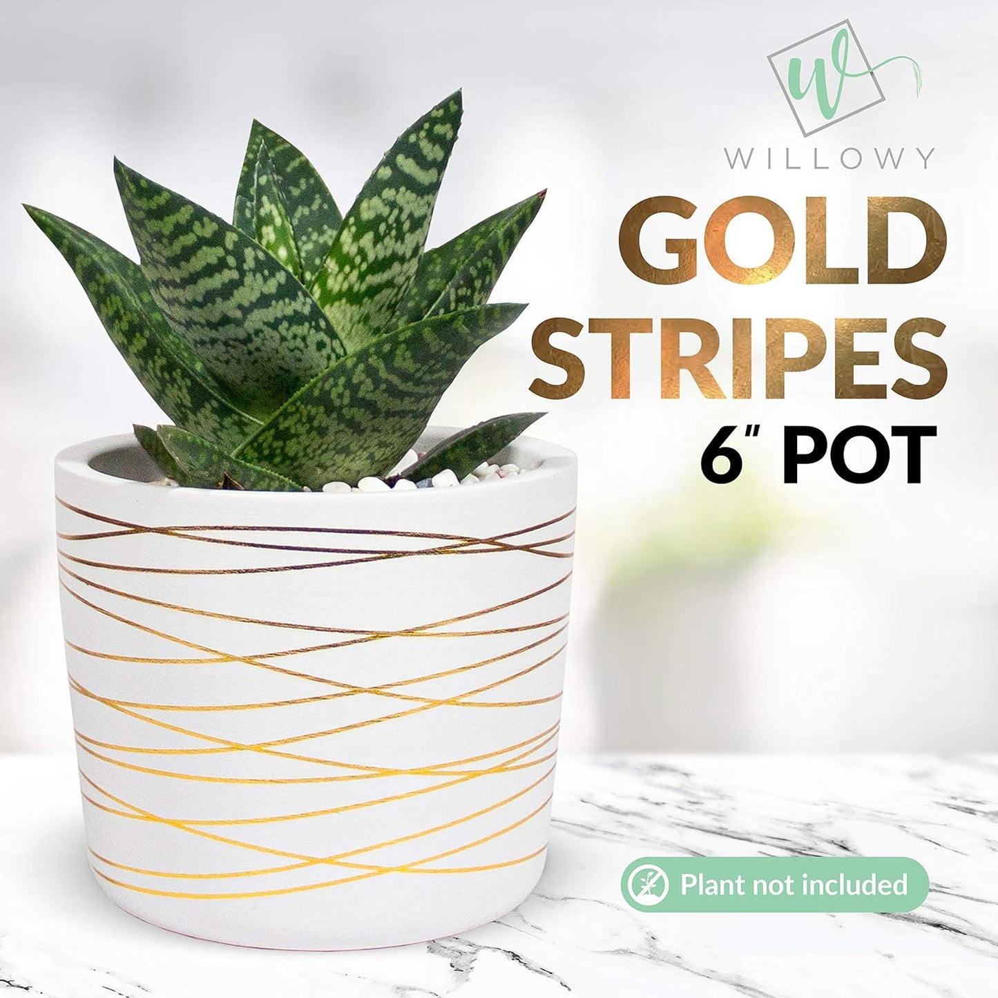 Willowy 6 Inch Ceramic Pot, Matte White with Gold Stripes, Drainage Plug Included