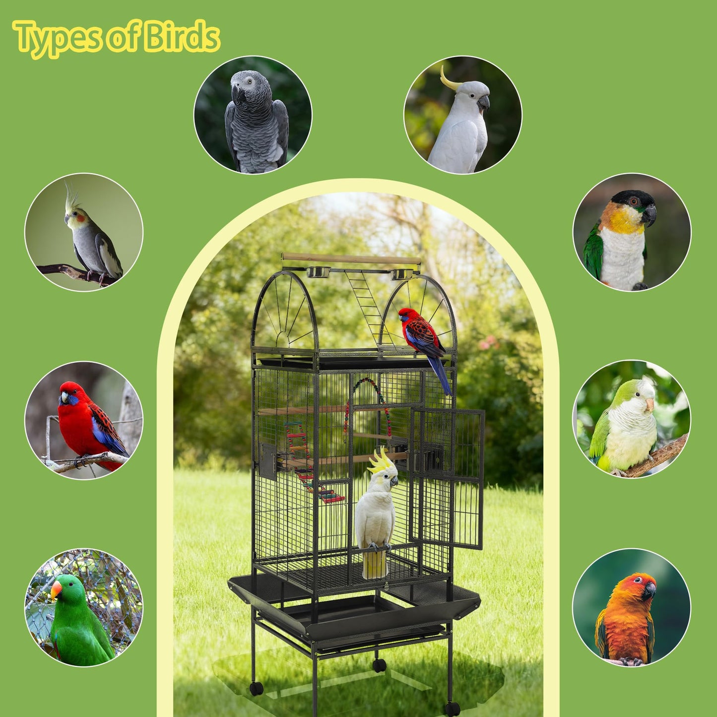 Sinopet 68'' Large Parrot Cage, Large Bird Cages for Parrots,Conure Cage for Birds, Cockatiel Cage with Play Top,Feeders,Slide-Out Tray,Seed Catcher,Birdcage Toys for Cockatoo,African Grey,Lovebird