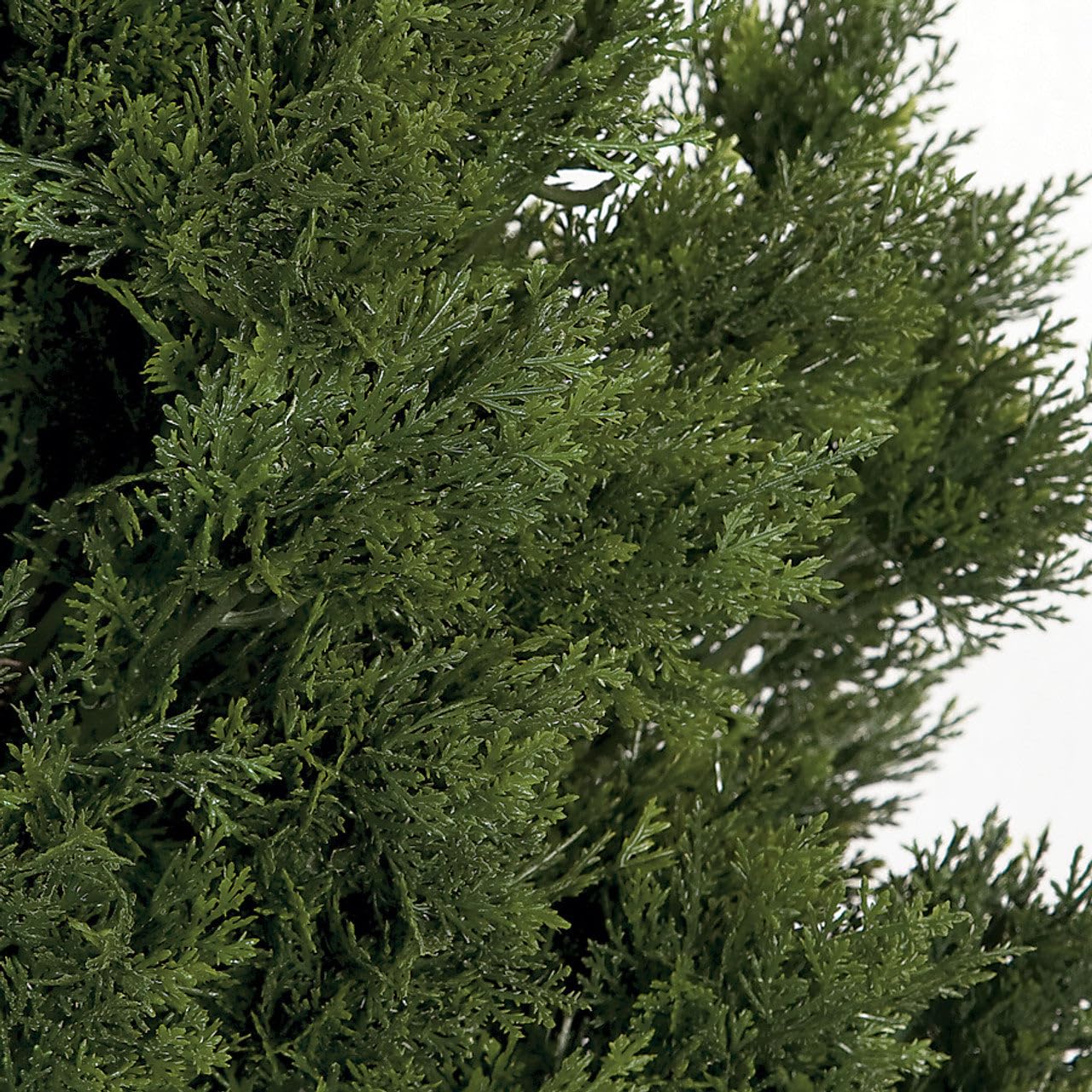 SilksAreForever 6' Outdoor UV-Proof Artificial Cedar Cone-Shaped Artificial Topiary Tree w/Pot -Green