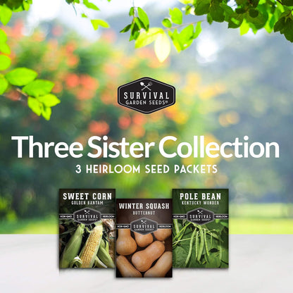 Three Sisters Collection Seed Vault - Non-GMO Heirloom Seeds for Planting Vegetables - Sweetcorn, Butternut Winter