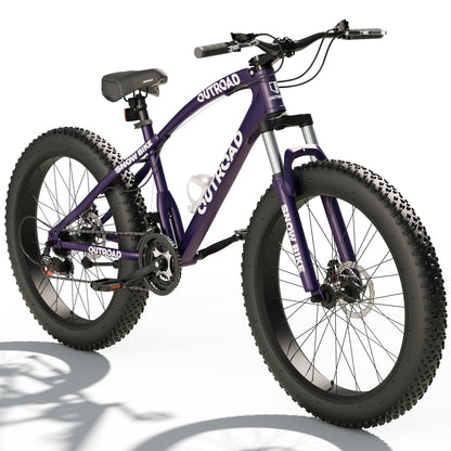 Incbruce 26 Inch Fat Tire Mountain Bike, High Carbon Steel Frame, 21 Speed MTB with Dual Disc Brakes for Men/Women/Adults (Purple)