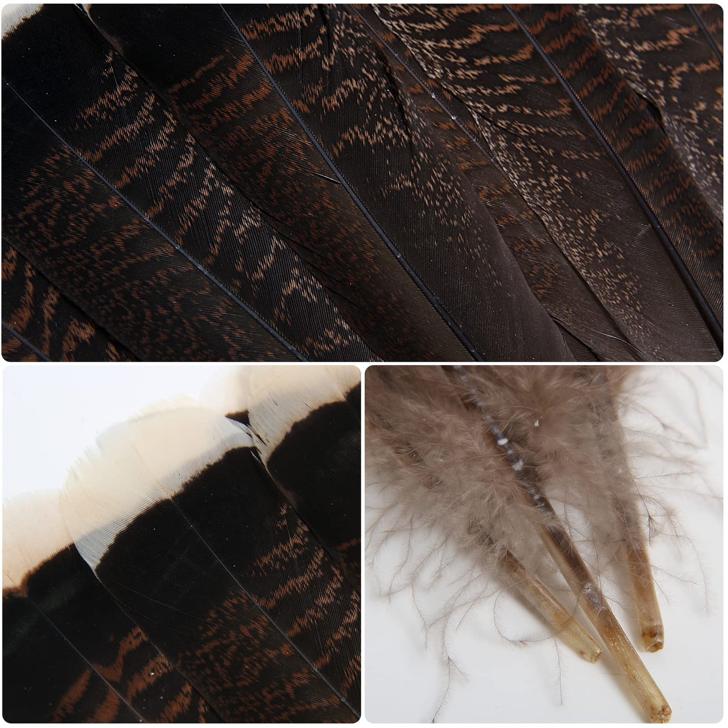 THARAHT 24pcs Natural Wild Turkey Tails Feathers Quill Bulk 10-12inch 25-30cm for DIY Crafts Project Collection Wedding Decoration Wild Turkey Tails Feather