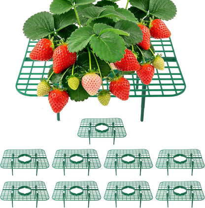 10 Pack, Strawberry Plant Support, Raised Grid Stand to Keep Strawberries Off the Ground, Strawberry Holder for Garden