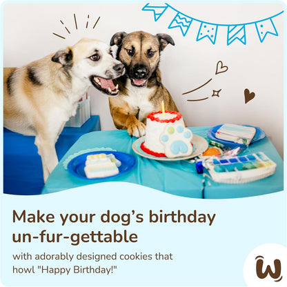 Wufers Birthday Boy Cookie Box - Gourmet Dog Treats Made with Locally Sourced Ingredients (Blue)
