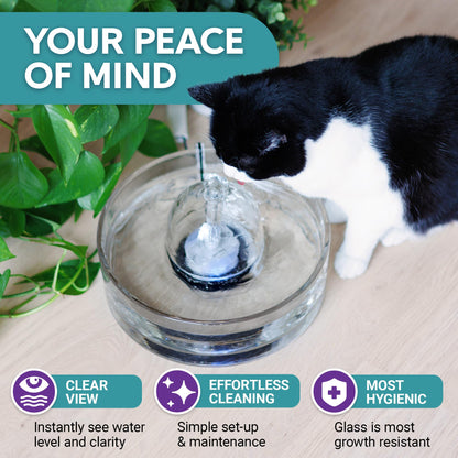 Brook Glass Pet Fountain (90oz/2.7L) – Cat Water Fountain & Small Dog Drinking Fountain – Automatic Water Dispenser Cat Fountain