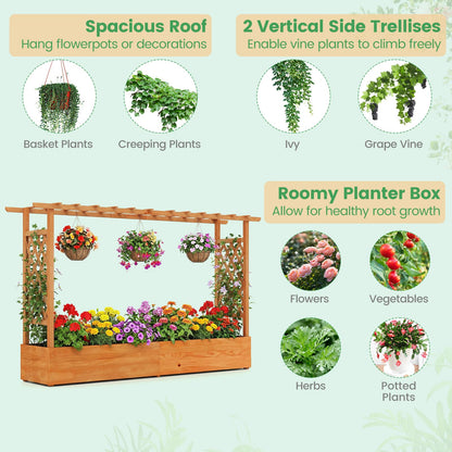 LDAILY Raised Garden Bed with Trellis, Above Ground Garden Bed with Hanging Roof, Side Trellis, & 6 Drainage Holes, Planter Box for Outdoor Climbing Plants Vines Flowers